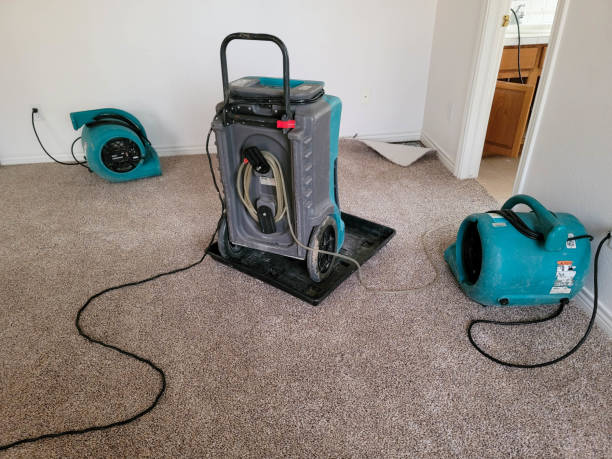 Best Ceiling water damage repair  in Stratford, OK