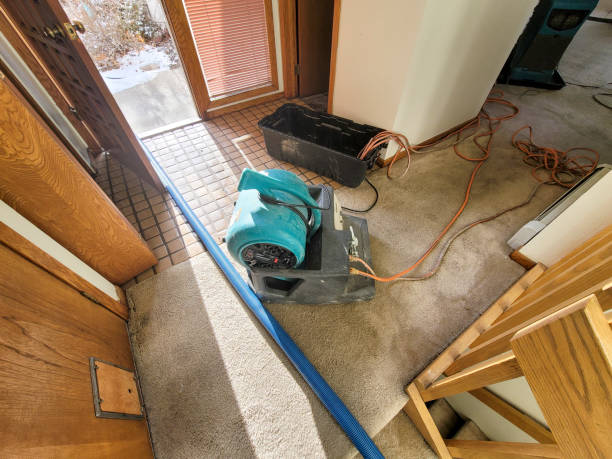 Best Water damage cleanup near me  in Stratford, OK