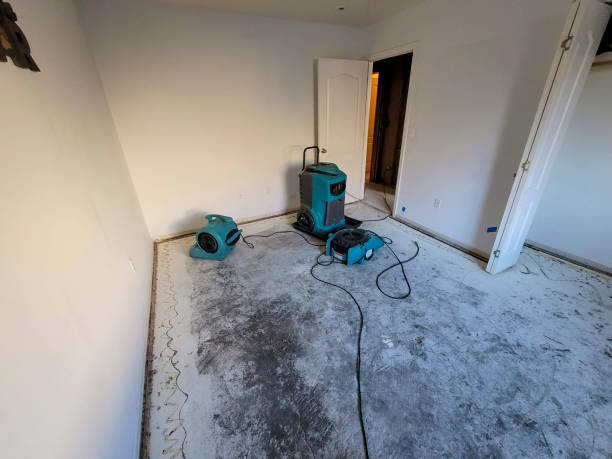 Best Basement water damage restoration  in Stratford, OK