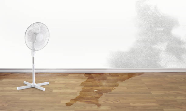 Best Water damage contractors near me  in Stratford, OK