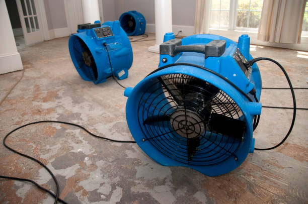 Best 24/7 water damage repair  in Stratford, OK