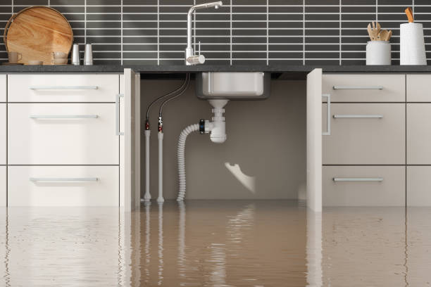 Best Water damage contractors near me  in Stratford, OK