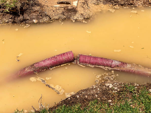 Best Water damage mitigation services  in Stratford, OK